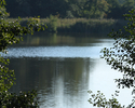 Zdjęcie przedstawia jezioro Lubicz.                                                                                                                                                                     