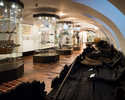 Wnętrze muzeum, widoczne są eksponaty w gablotach, na pierwszym planie szczątki zabytkowej łodzi                                                                                                        