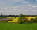 Zdjęcie przedstawia pola rzepaku w okolicach miejscowości Drawsko Pomorskie.                                                                                                                            