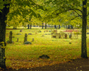 Zdjęcie przedstawia groby na cmentarzu ewangelickim w Bobolicach.                                                                                                                                       