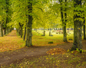 Zdjęcie przedstawia groby na cmentarzu ewangelickim w Bobolicach.                                                                                                                                       