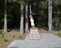 Zdjęcie przedstawia pomnik z pepeszą, mieszczący się na terenie cmentarza w Borne Sulinowo.                                                                                                             