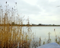 Zdjęcie przedstawia Jezioro Wierzbnickie                                                                                                                                                                