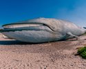Rewal - Park Wieloryba, płetwal