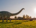 Wrzosowo - Bałtycki Park Dinozaurów