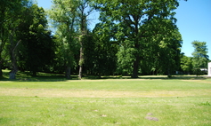 Park dworski