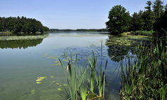 Jezioro Postne
