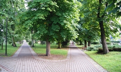 Park w Świętoborcu (przy stadninie koni) m. Łobez