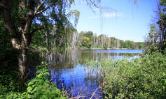 Jezioro Bartoszewo (Bartoszewskie)