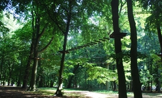 Park Linowy