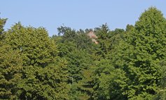 Wieża widokowa z parcelą (der Aussichtsturm mit dem Grundstück)
