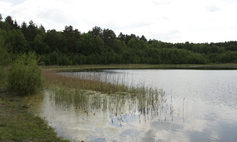 Rezerwat przyrody Jeziora Siegniewskie
