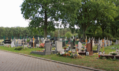 Cmentarz komunalny w Niekłończycy