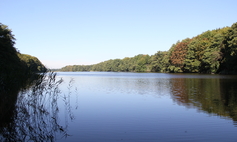 Jezioro Glinna