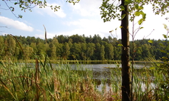 Rezerwat nad jeziorem Morzysław Mały