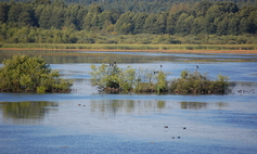 Rezerwat Jezioro Prosino
