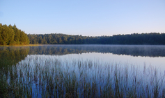 Rezerwat Jezioro Czarnówek