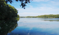 Jezioro Rzepowo