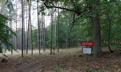 Rezerwat przyrody Dąbrowa Krzymowska