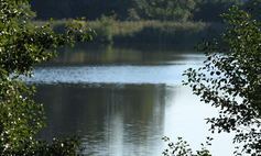 Jezioro Lubicz