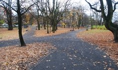 Park przy ul. Noakowskiego