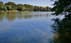 Jezioro Bystrzyno Małe gm. Świdwin