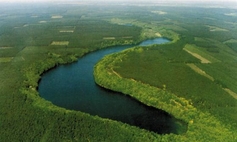 Jezioro Krzywe  (Podkowa) k. Przelewic, gm. Człopa