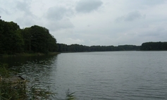 Jezioro Starzyc (Chociwel, Starzyca) gm. Chociwel