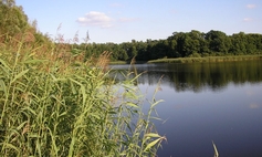 Jezioro Raduń gm. Choszczno