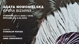 Agata Nowosielska | Opera bizarna